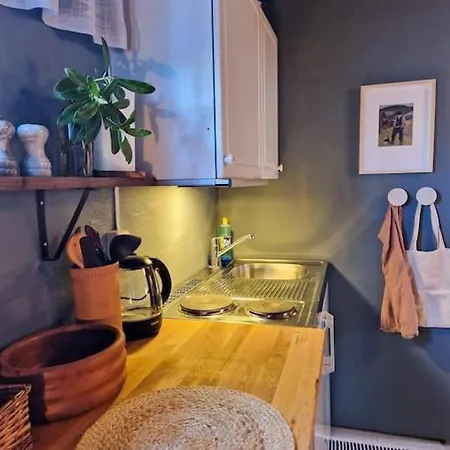 公寓 Cosy Ground Floor With Three Bedrooms 卑爾根