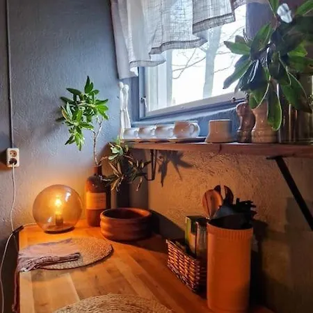 Cosy Ground Floor With Three Bedrooms 公寓